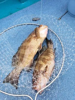 2019年7月21日の釣果・お知らせの写真 4