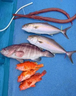 2025年9月13日の釣果・お知らせの写真 4