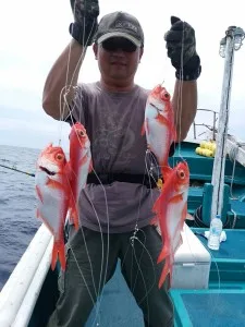 2017年7月28日の釣果・お知らせの写真 3