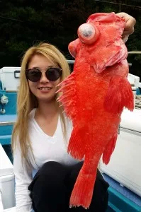 2017年7月14日の釣果・お知らせの写真