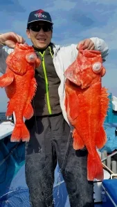 2017年3月4日の釣果・お知らせの写真 2