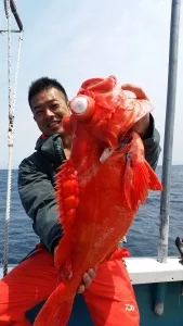 2017年4月29日の釣果・お知らせの写真