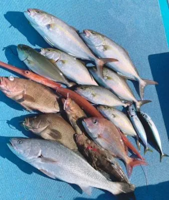 2024年11月17日の釣果・お知らせの写真