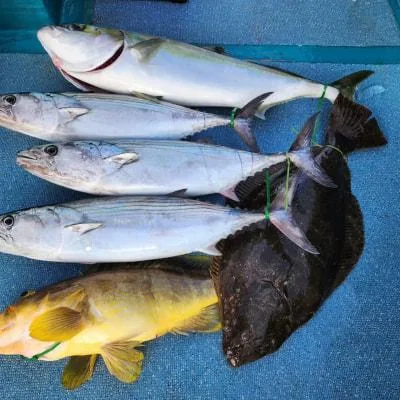 2023年8月28日の釣果・お知らせの写真 8