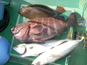 2009年11月21日の釣果・お知らせの写真 4