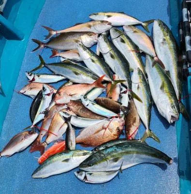 2023年7月7日の釣果・お知らせの写真 4