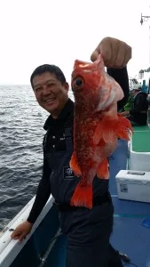 2017年7月1日の釣果・お知らせの写真