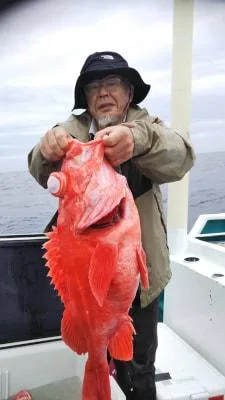 2018年6月15日の釣果・お知らせの写真 2