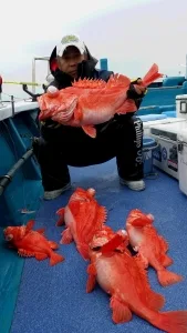 2017年3月26日の釣果・お知らせの写真