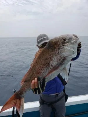 2020年6月3日の釣果・お知らせの写真 2