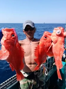 2017年5月20日の釣果・お知らせの写真 3