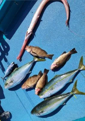 2024年10月14日の釣果・お知らせの写真 5