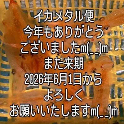 2025年9月20日の釣果・お知らせの写真