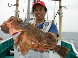 2008年7月6日の釣果・お知らせの写真 2