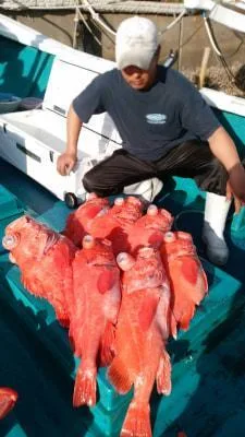 2018年3月4日の釣果・お知らせの写真