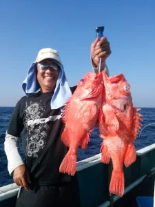 2017年10月10日の釣果・お知らせの写真 5