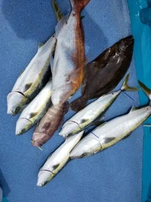 2022年5月23日の釣果・お知らせの写真 6