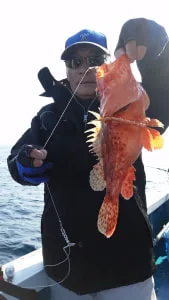 2017年12月10日の釣果・お知らせの写真