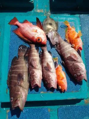 2021年3月19日の釣果・お知らせの写真