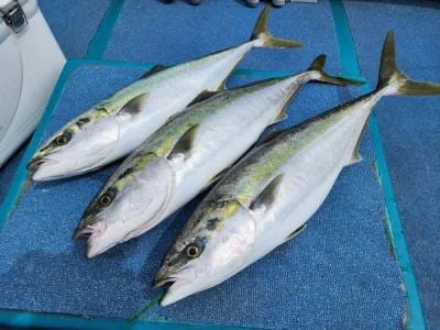 2024年4月2日の釣果・お知らせの写真 9