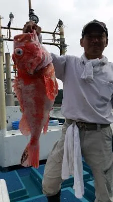2018年5月17日の釣果・お知らせの写真