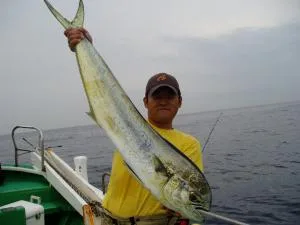 2006年6月17日の釣果・お知らせの写真 2