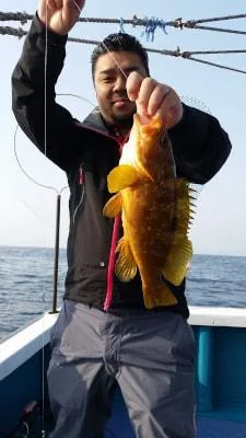 2018年4月3日の釣果・お知らせの写真