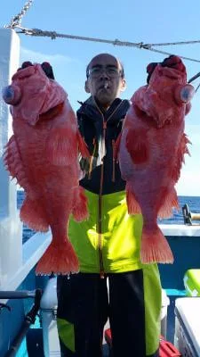 2018年6月16日の釣果・お知らせの写真