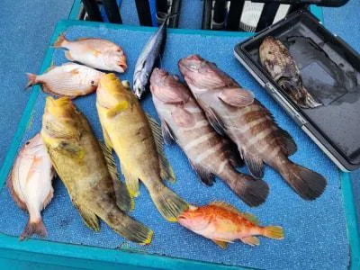 2024年2月23日の釣果・お知らせの写真 5