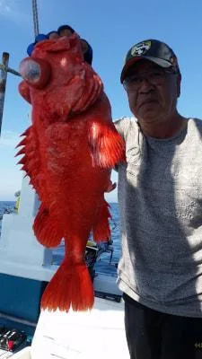 2018年6月4日の釣果・お知らせの写真 1