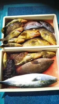 2019年4月2日の釣果・お知らせの写真 4