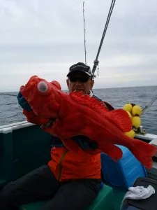 2017年6月6日の釣果・お知らせの写真