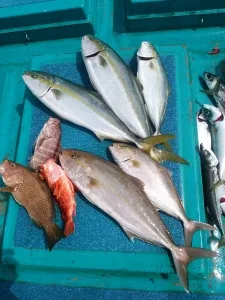 2016年9月22日の釣果・お知らせの写真 8