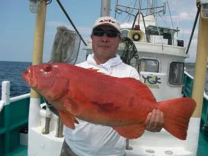 2008年9月1日の釣果・お知らせの写真