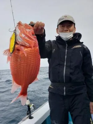 2022年4月19日の釣果・お知らせの写真 2
