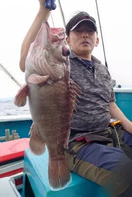 2024年7月13日の釣果・お知らせの写真 2