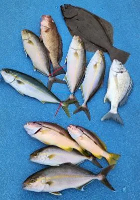 2024年11月26日の釣果・お知らせの写真