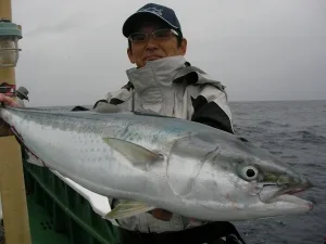 2010年10月31日の釣果・お知らせの写真 1