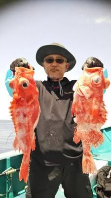 2018年5月25日の釣果・お知らせの写真