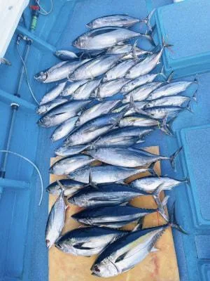 2024年5月26日の釣果・お知らせの写真 5