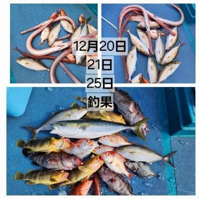 2025年12月27日の釣果・お知らせの写真 2