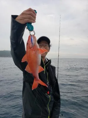 2019年7月2日の釣果・お知らせの写真 5