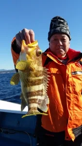 2016年12月21日の釣果・お知らせの写真 2