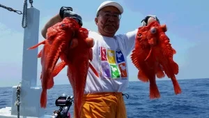2016年5月22日の釣果・お知らせの写真 6