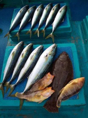 2021年12月28日の釣果・お知らせの写真 2