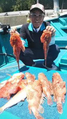 2019年5月23日の釣果・お知らせの写真