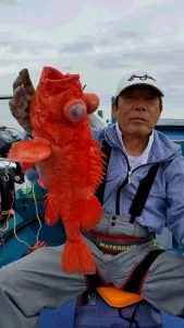 2016年6月8日の釣果・お知らせの写真