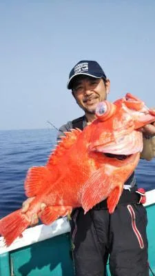 2018年3月25日の釣果・お知らせの写真