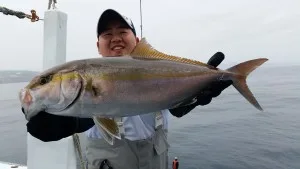 2017年6月26日の釣果・お知らせの写真