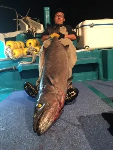 2016年5月1日の釣果・お知らせの写真 3